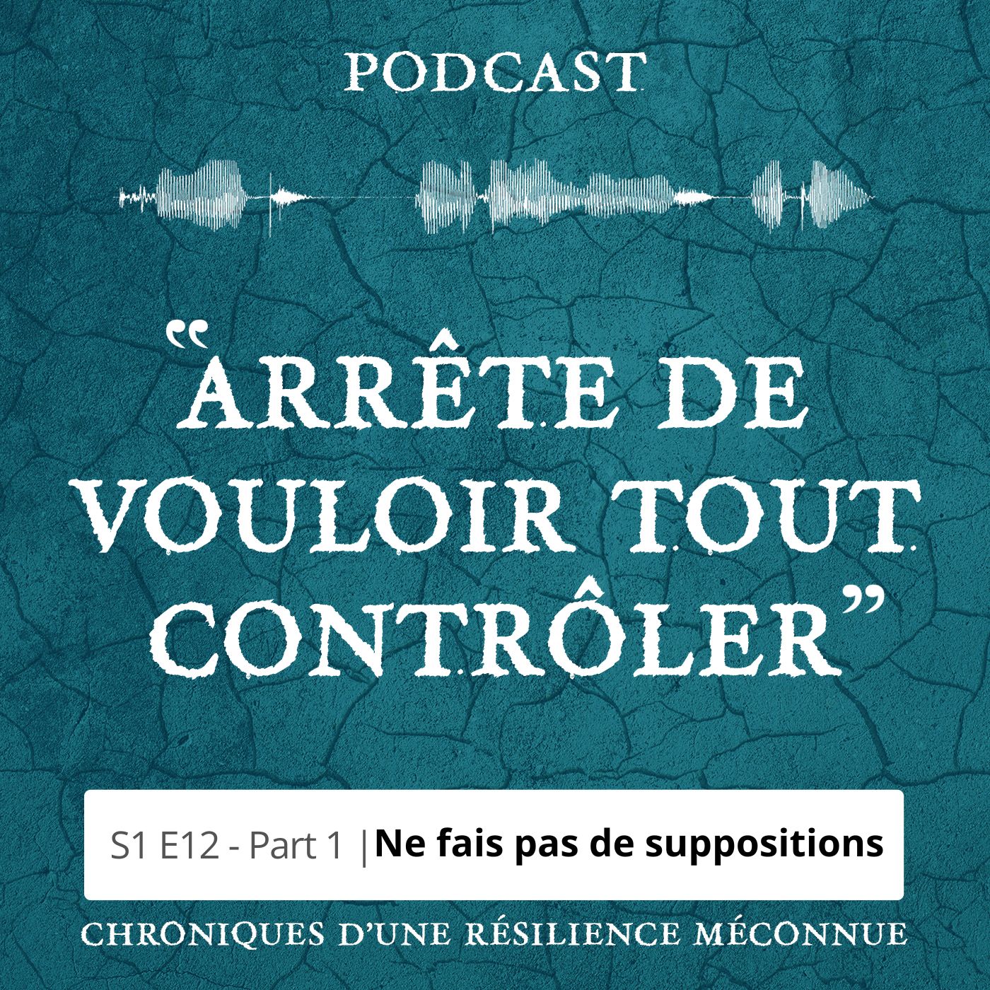 S1 E12 - Chroniques d'une Résilience Méconnue