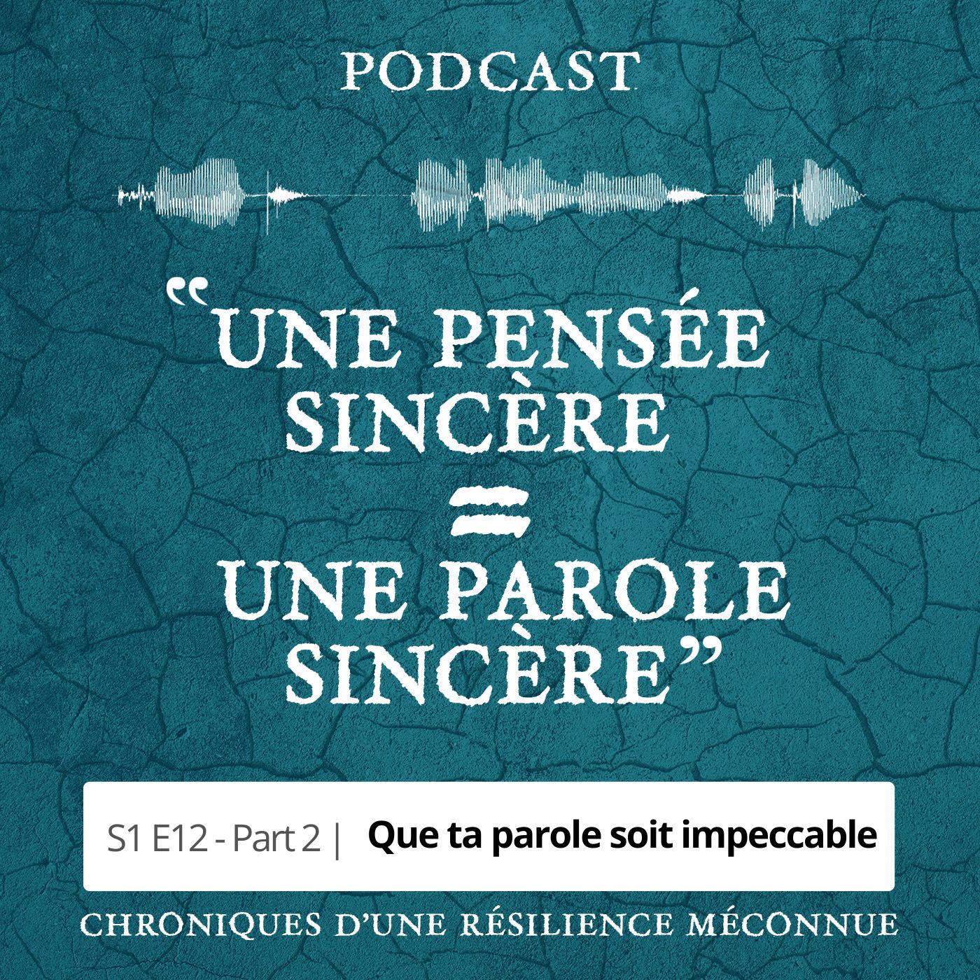 S1 E12 - Chroniques d'une Résilience Méconnue