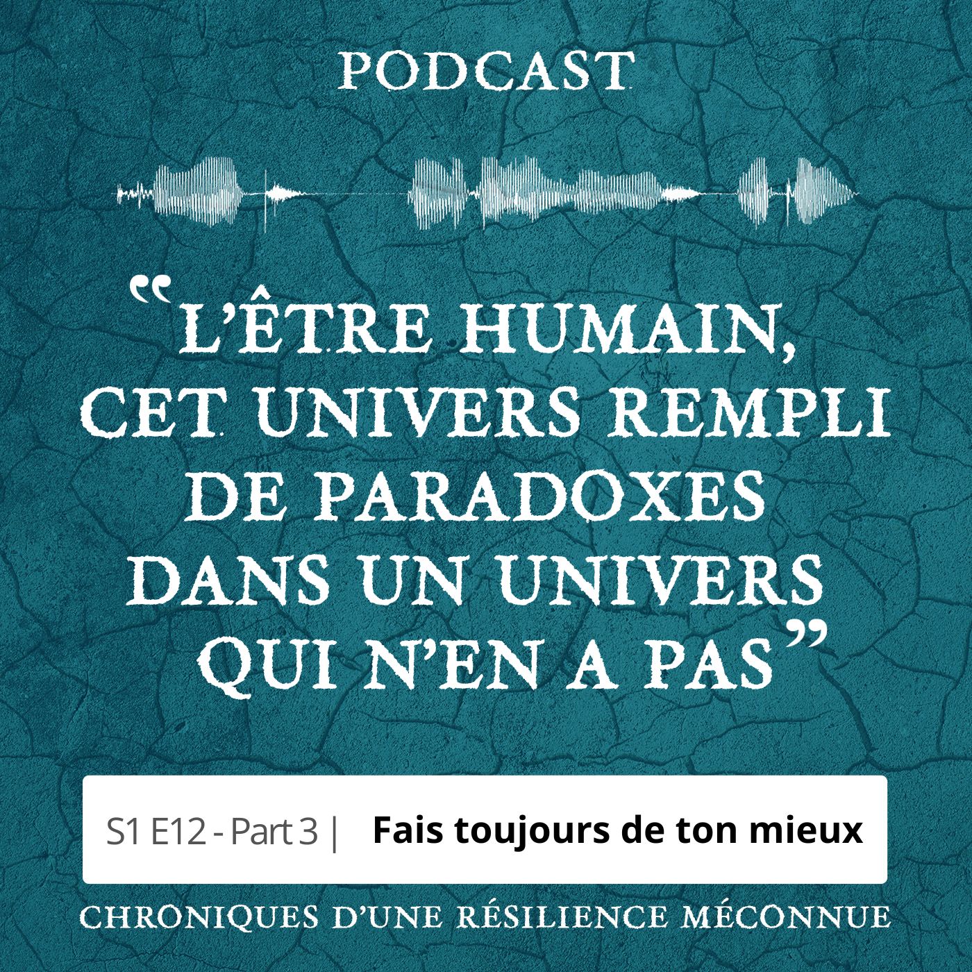 S1 E12 - Chroniques d'une Résilience Méconnue