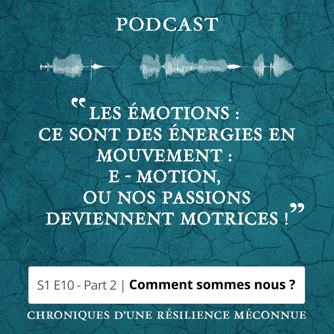 S1 E10 - Chroniques d'une Résilience Méconnue