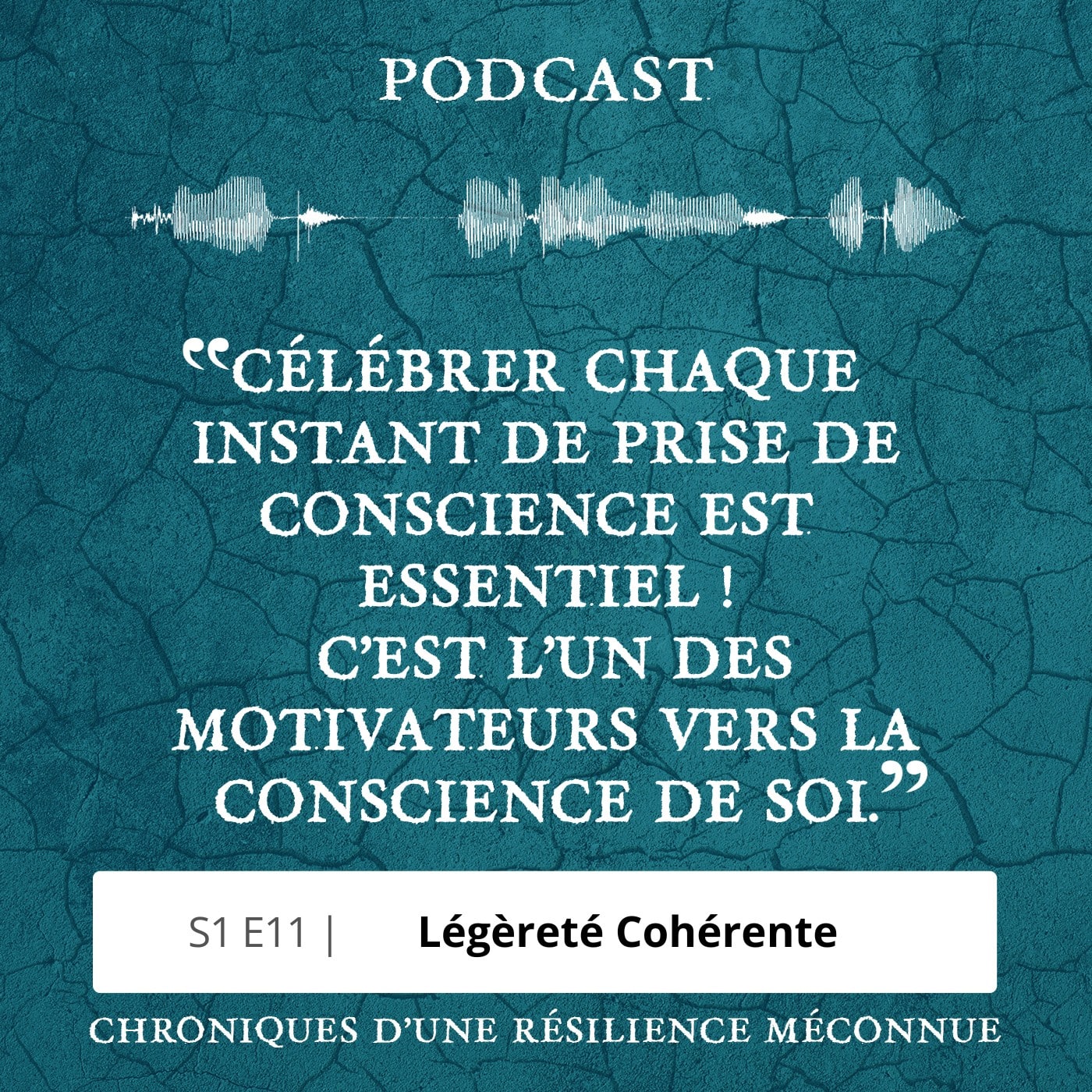 S1 E11 - Chroniques d'une Résilience Méconnue