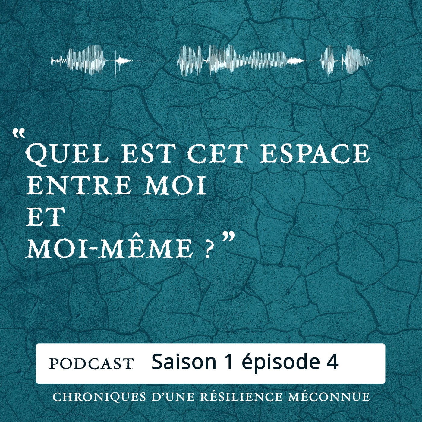 S1 E4 - Chroniques d'une Résilience Méconnue