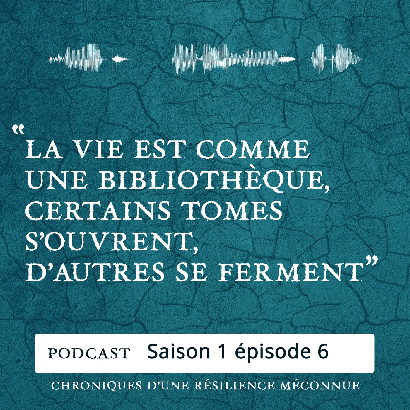 S1 E6 - Chroniques d'une Résilience Méconnue