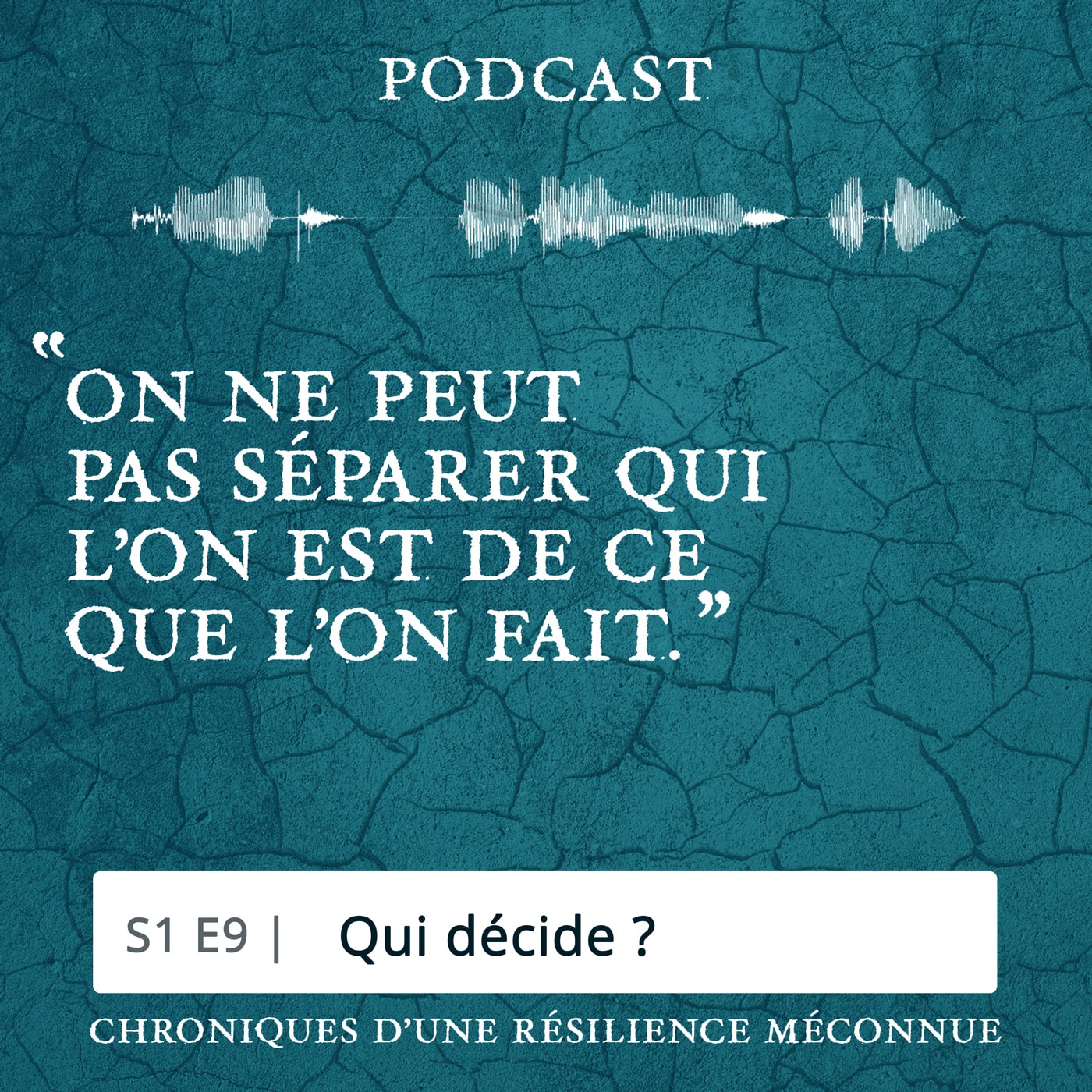 S1 E9 - Chroniques d'une Résilience Méconnue