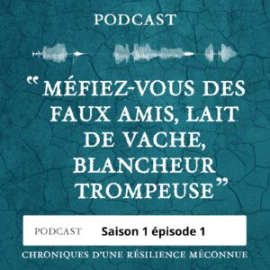 S1 E1 - Chroniques d'une Résilience Méconnue