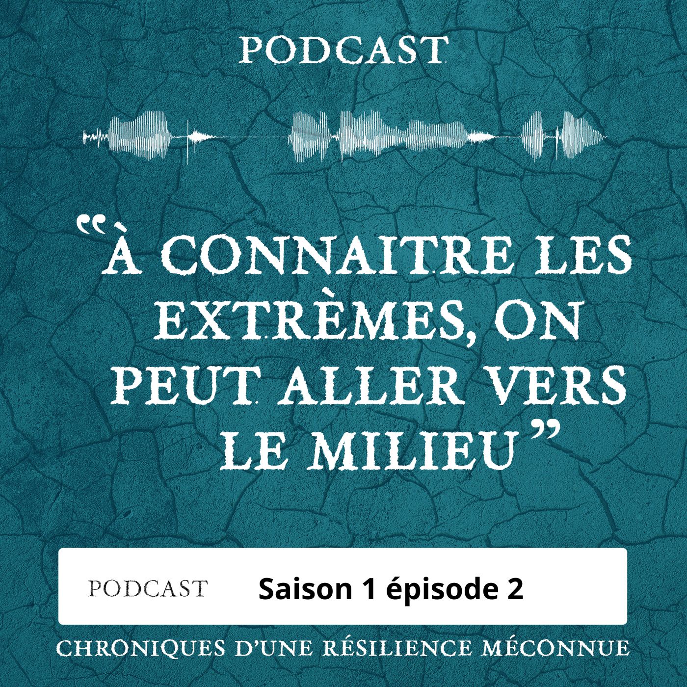 S1 E2 - Chroniques d'une Résilience Méconnue