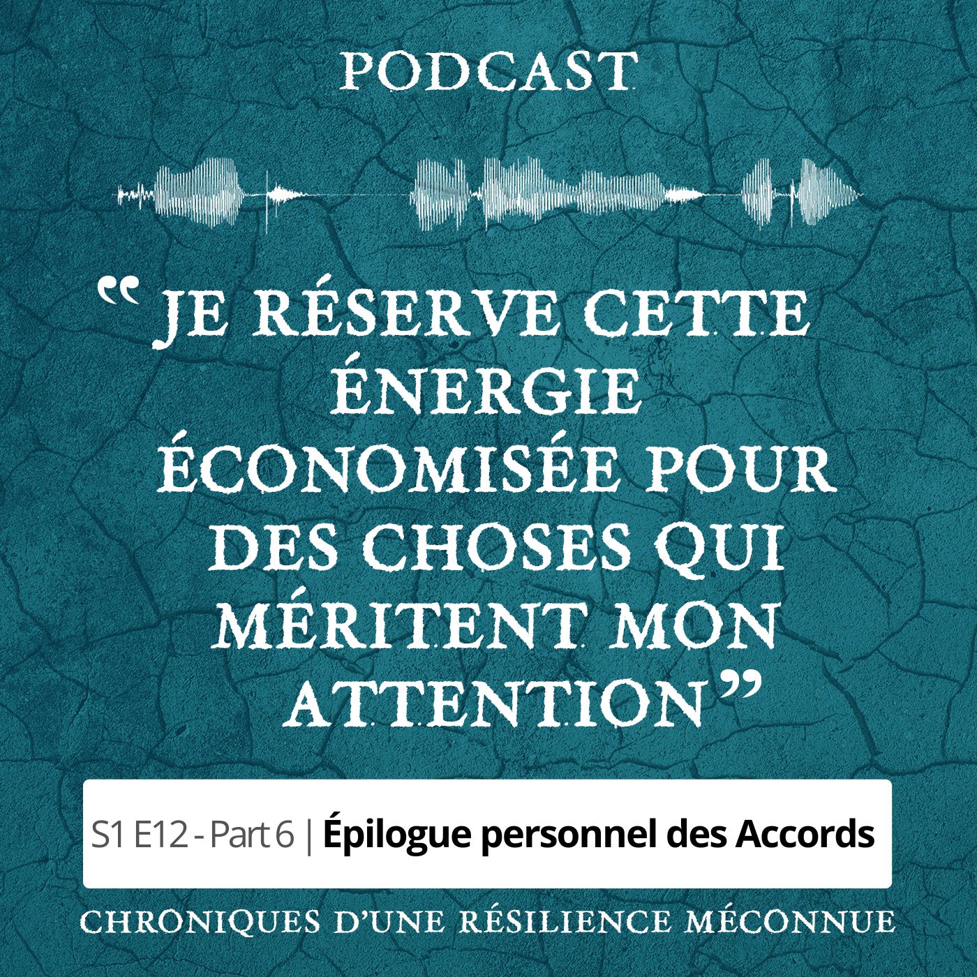 S1 E12 - Chroniques d'une Résilience Méconnue