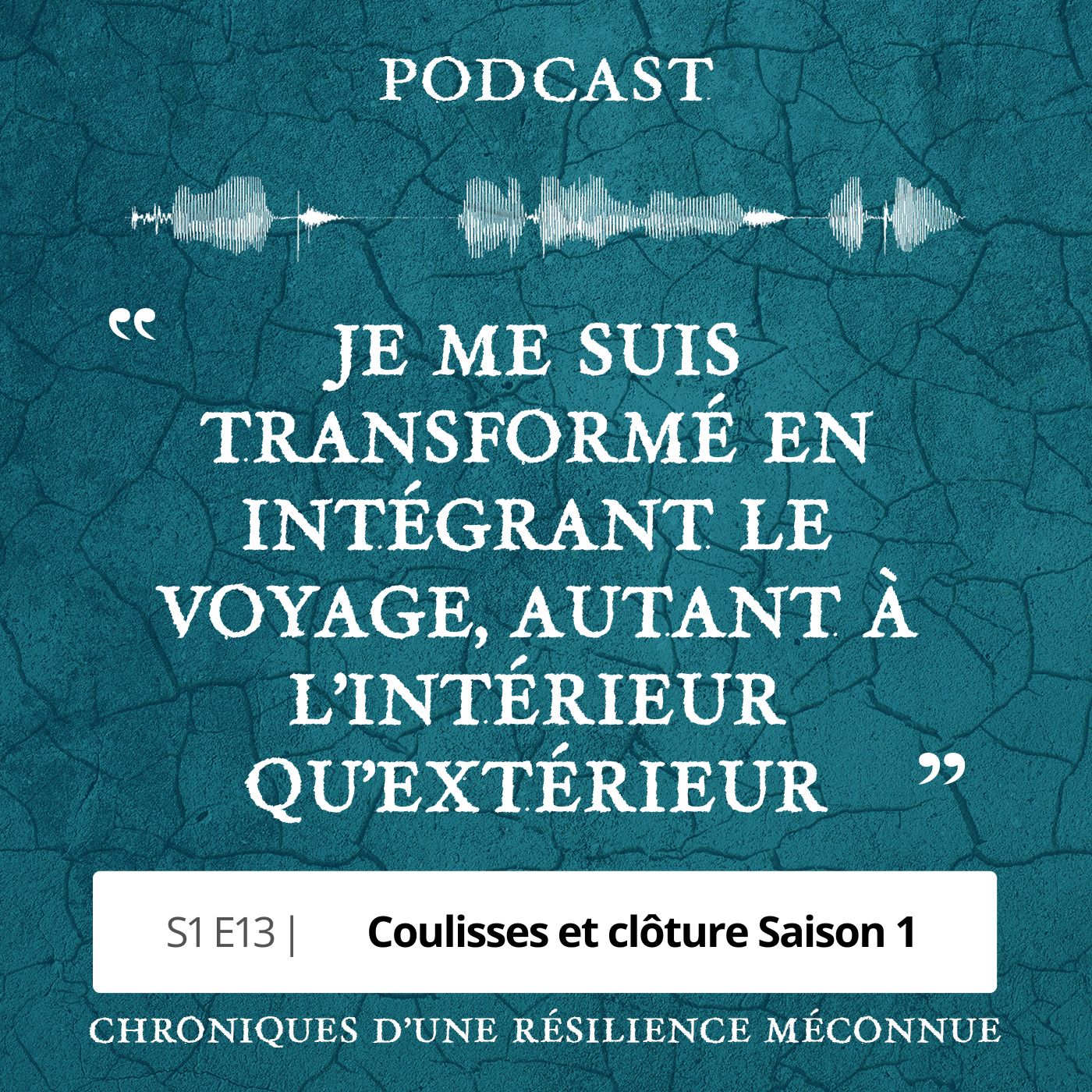 S1 E13 - Chroniques d'une Résilience Méconnue